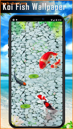 Sea Fish Live Wallpaper 2019 - Koi Fish Wallpaper screenshot