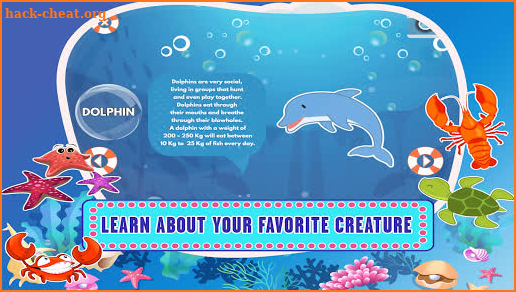 Sea World Animal Kids Games - Name Puzzle Coloring screenshot