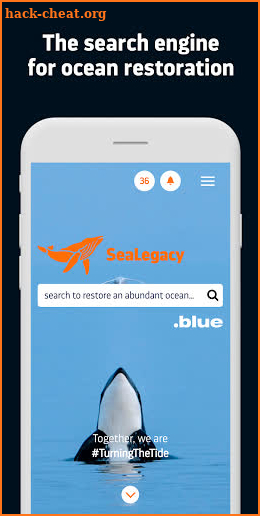 sealegacy.blue screenshot