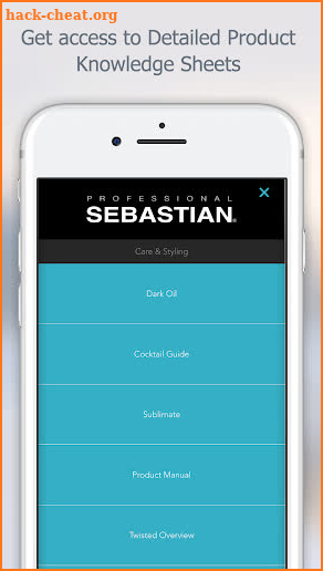 Sebastian Professional screenshot