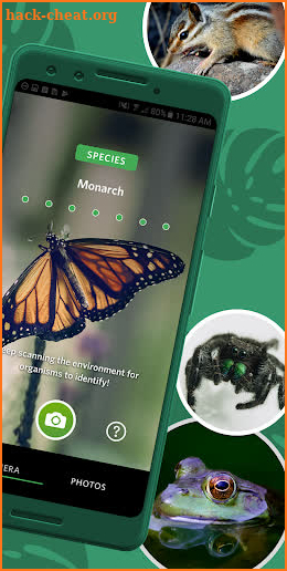 Seek by iNaturalist screenshot