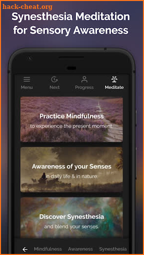 Sensorium - Synesthesia Meditation & Awareness screenshot