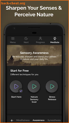 Sensorium - Synesthesia Meditation & Awareness screenshot