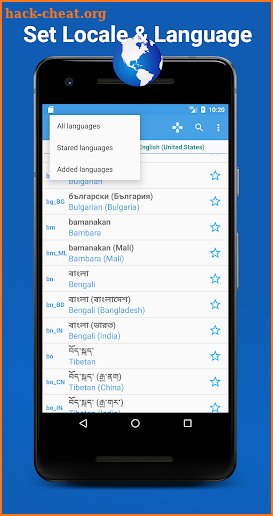 Set Locale Language for Android - Locale Setting screenshot