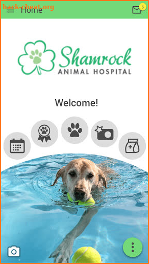 Shamrock Animal Hospital screenshot