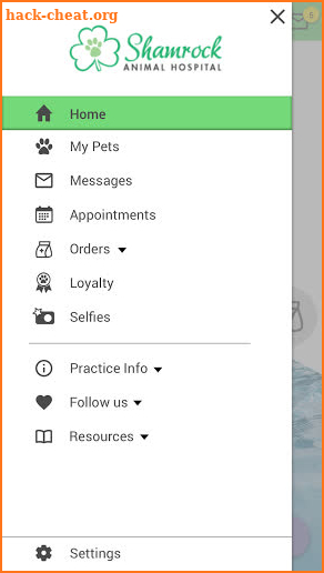 Shamrock Animal Hospital screenshot