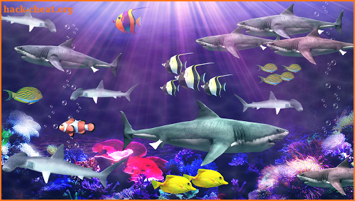 Shark aquarium live wallpaper screenshot