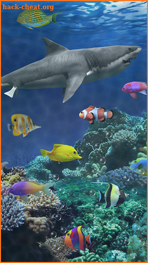 Shark aquarium live wallpaper screenshot