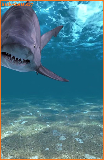 Shark Attack Live Wallpaper screenshot
