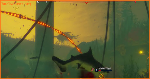 Shark Eater Pro Tips screenshot