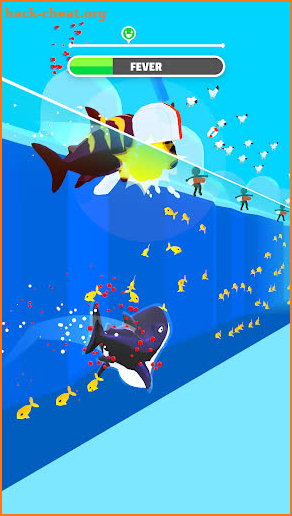 Shark Hunger screenshot