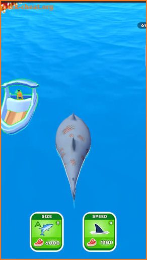 Shark Master screenshot