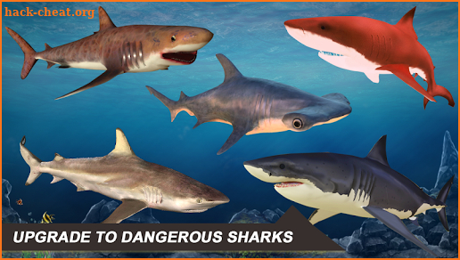 Shark Simulator 2018 screenshot
