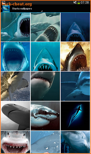 Shark Wallpapers screenshot