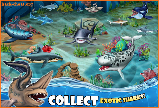 Shark World screenshot