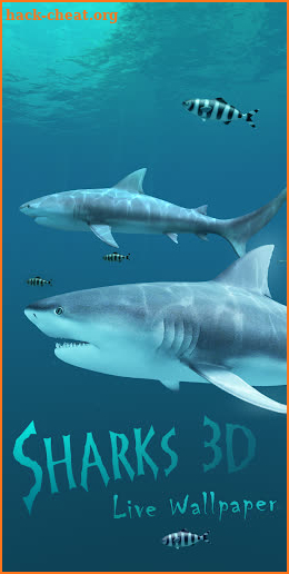 Sharks 3D - Live Wallpaper screenshot