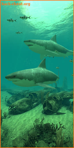 Sharks 3D - Live Wallpaper screenshot