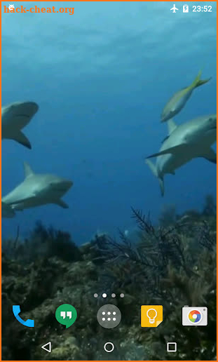 Sharks Live Wallpaper screenshot
