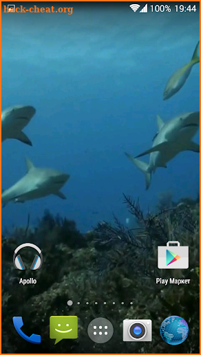 Sharks. Video Wallpaper screenshot