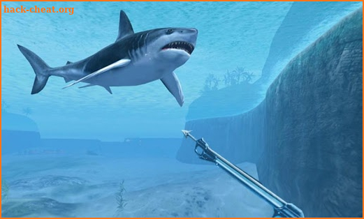 Sharks VR screenshot