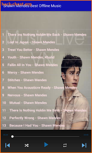 Shawn Mendes Best Offline Music screenshot