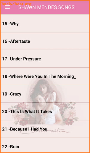 Shawn Mendes Songs Offline ( 40 Songs Senorita ) screenshot