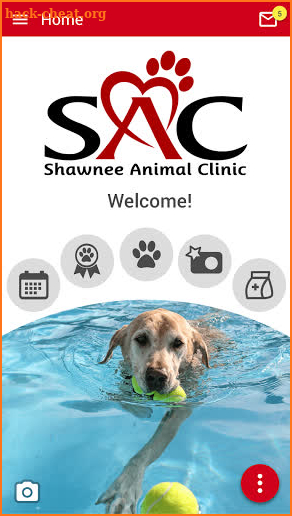 Shawnee Animal Clinic screenshot