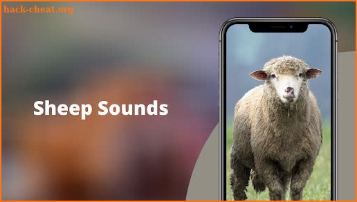 Sheep Sounds screenshot