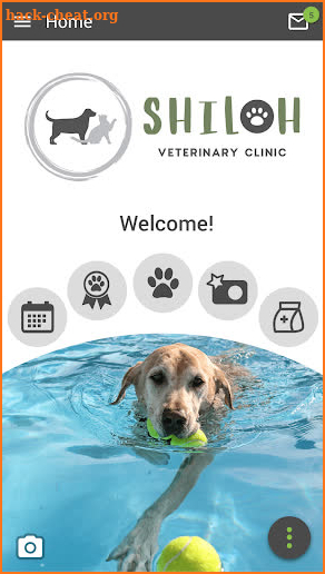 Shiloh Veterinary Clinic screenshot