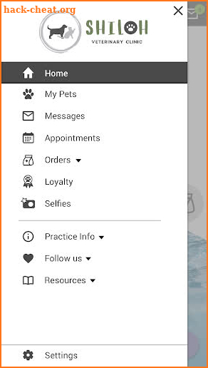 Shiloh Veterinary Clinic screenshot