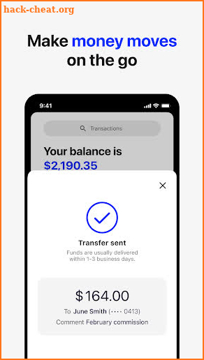Shopify Balance screenshot