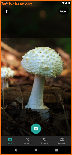 ShroomID - Mushroom Identifier screenshot