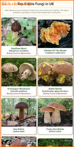 Shroomify - Mushroom Identification screenshot