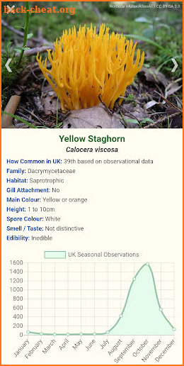 Shroomify - Mushroom Identification screenshot