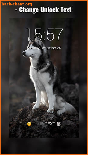 Siberian Husky Lock Screen screenshot