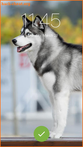 Siberian Husky Wallpaper Pattern PIN Lock Screen screenshot