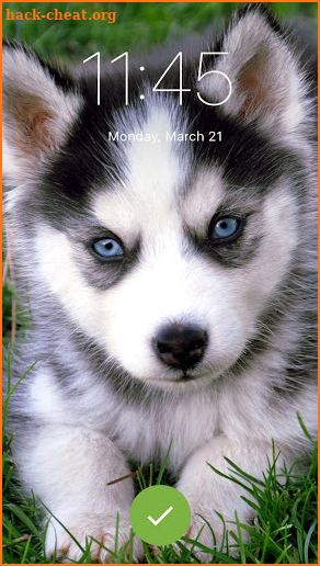 Siberian Husky Wallpaper Pattern PIN Lock Screen screenshot