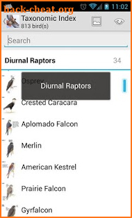 Sibley Birds of North America screenshot