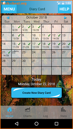 Simple DBT Skills Diary Card screenshot