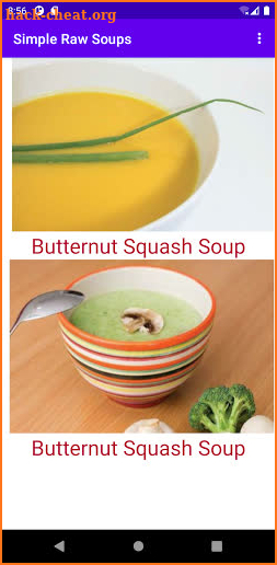 Simple Raw soups screenshot