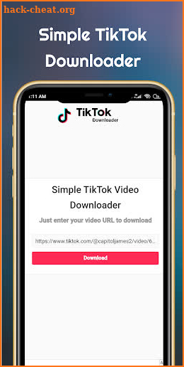 Simple TikTok Downloader screenshot