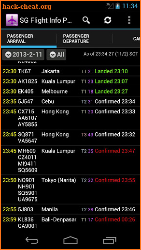 Singapore Flight Info Pro screenshot
