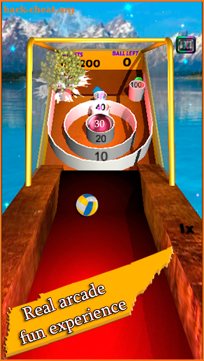 Skee Ball Flick - Hole King screenshot