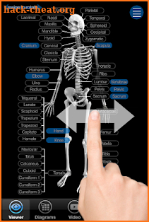 Skeletal Anatomy 3D screenshot