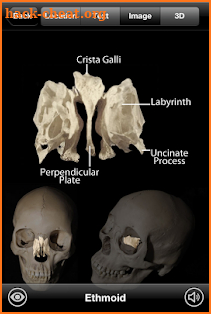 Skeletal Anatomy 3D screenshot
