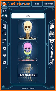 Skeleton Anatomy Pro. screenshot