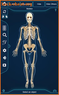 Skeleton Anatomy Pro. screenshot