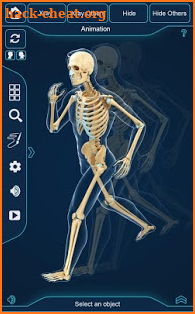 Skeleton Anatomy Pro. screenshot