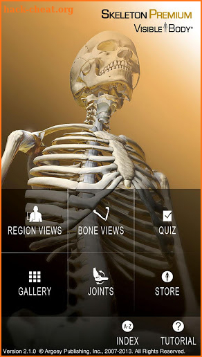 Skeleton Premium screenshot