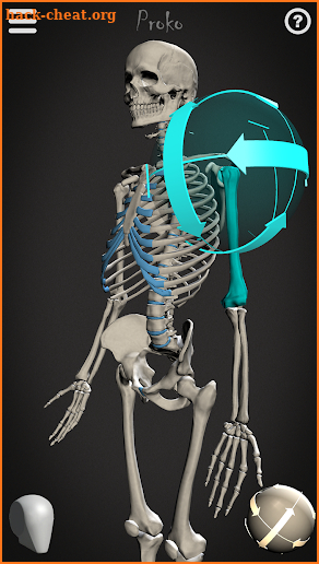 Skelly: Poseable Anatomy Model screenshot
